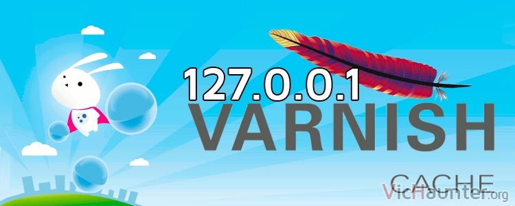 $_SERVER[ 'REMOTE_ADDR' ] y apache log devuelven 127.0.0.1 con varnish