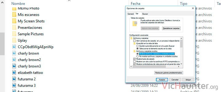 Cómo mostrar archivos ocultos en Windows