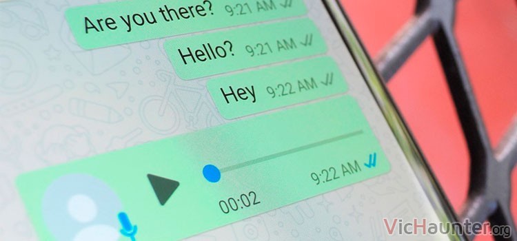 Cómo saber si te leen en Whatsapp con doble check desactivado