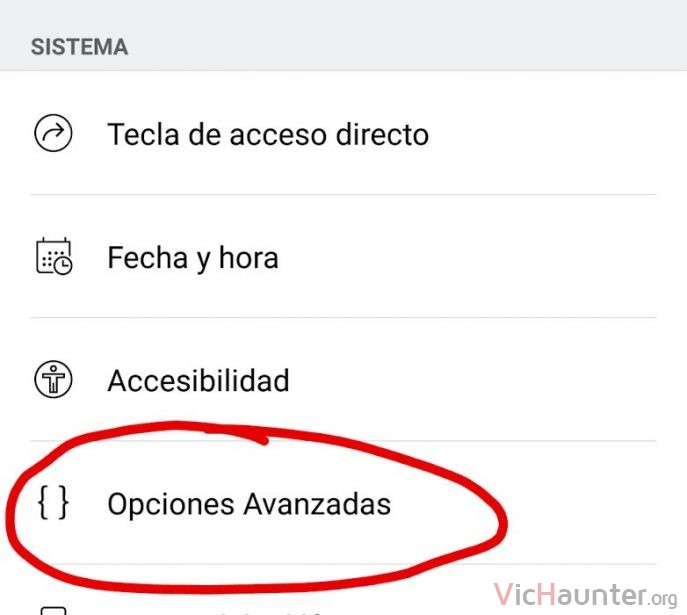 android-ajustes-opciones-avanzadas-desarrollador