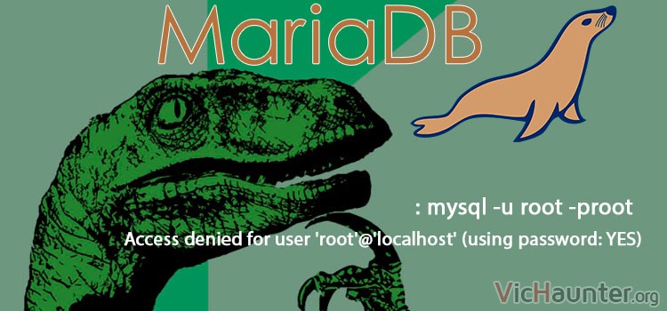 Cómo solucionar acceso root mariadb