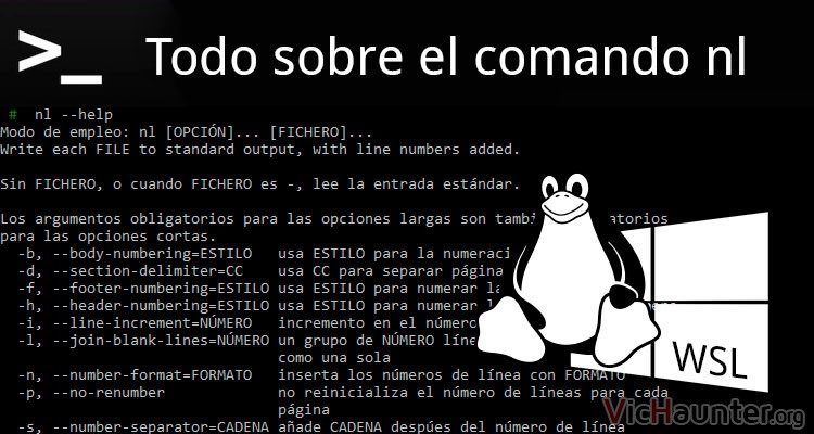 Todo lo que debes saber sobre el comando nl
