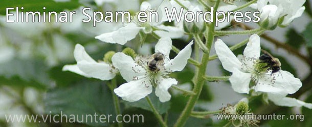 eliminar-spam-wordpress-plugin-spammer-block